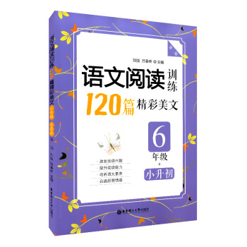 正版现货 小学语文阅读训练120篇精彩美文 第二版 6年级+小升初 华东理工大学出版社 语文提升阅读